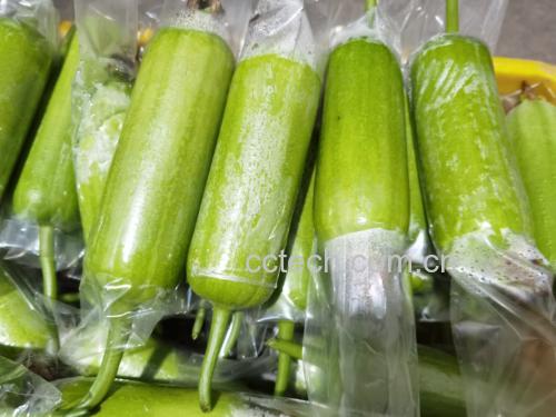市场中正在挑选玉菇甜瓜的消费者