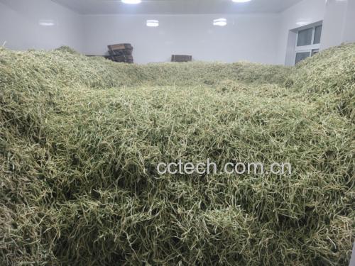 青萝卜干成品展示:琥珀色条状、浅褐色细丝、淡金色薄片三组样品置于粗陶盘中,撒少许白霜,背景为木质收纳罐与手写标签“霜降·潍县青”