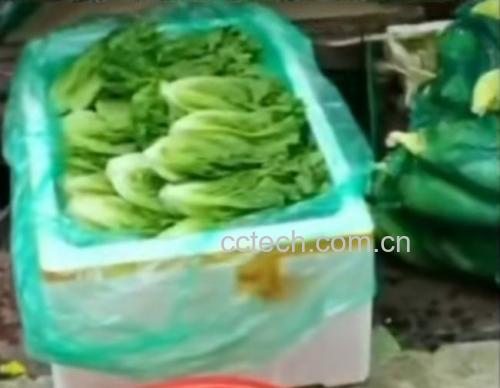 街头小吃摊主正在将生菜夹入肉夹馍中