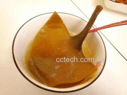 泡发后的干海带结特写
