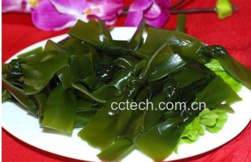 凉拌酸辣海带结成品图