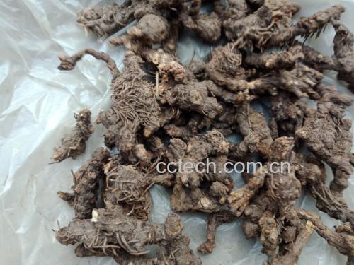白胡椒粉末与热水混合