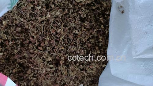 胡椒粉在烹饪中的使用场景