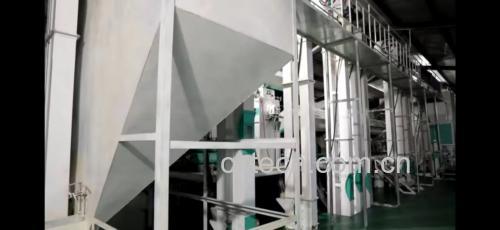 选购长粒香大米的技巧图示