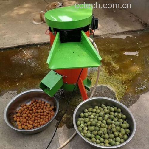 一位农民正在手工剥开青皮核桃,戴着手套操作,桌面上摆放着已剥出的完整核桃仁和带汁液的绿色外皮残渣