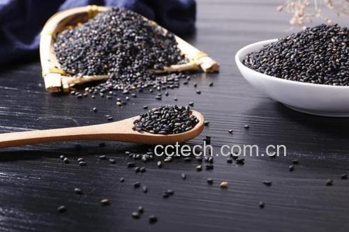 黑芝麻食品搭配示意图