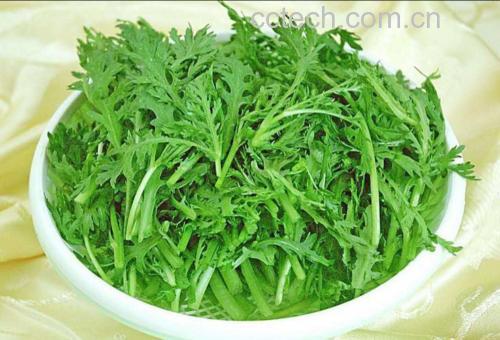 茼蒿菜肴成品图
