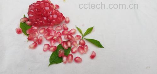 新鲜会理石榴剖面特写