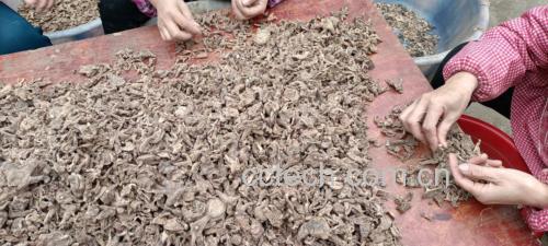 白扁豆炒制过程示意图