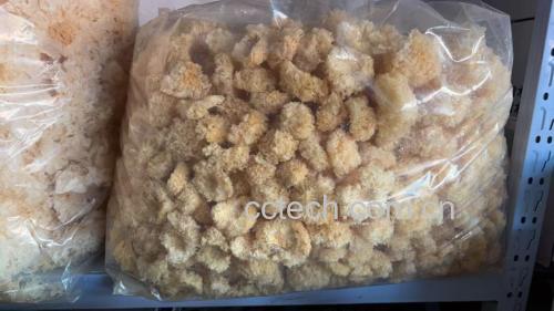 椴木银耳与其他类型银耳对比图