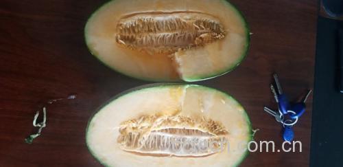 伽师瓜切开剖面展示果肉与籽