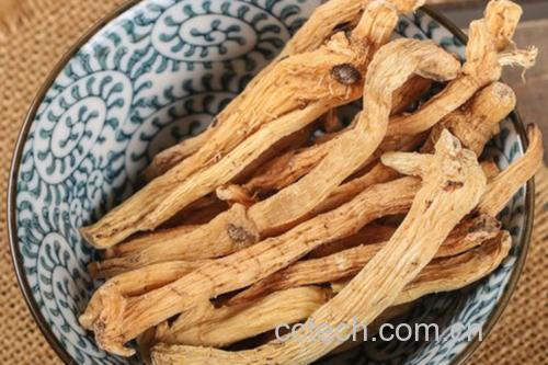金黄色的玉竹酒液倒入透明玻璃杯中，酒体清澈透亮，背景为新鲜采摘的金镶玉竹植株