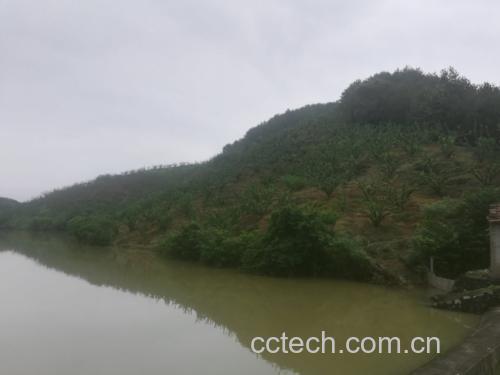 桃形李果园实景图
