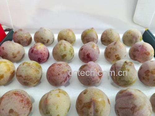 玻璃罐中盛满琥珀色桃形李果酱,旁边摆放新鲜果实与柠檬片
