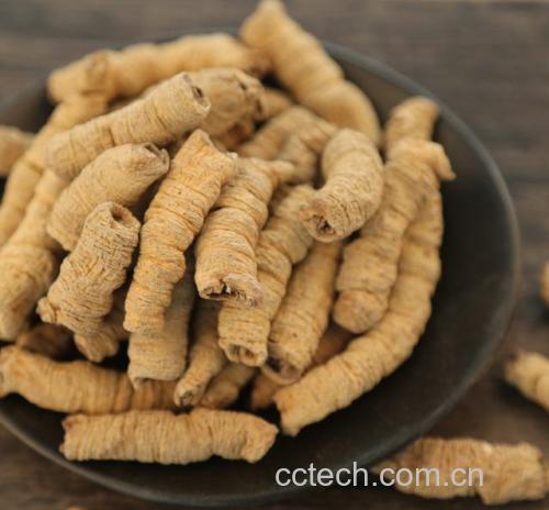 一位厨师正在操作台上将炎陵黄桃花瓣与打发奶油一起卷入班戟皮中,动作轻柔,背景为浅色厨房台面,光线柔和