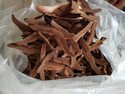 灵芝储存对比示意图