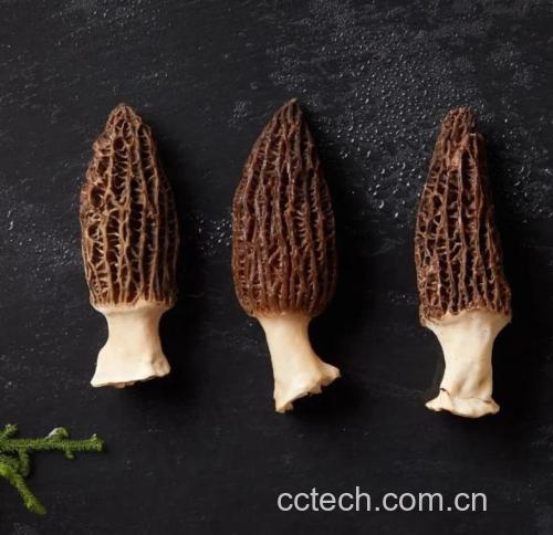 黑豆与羊肚菌对比图