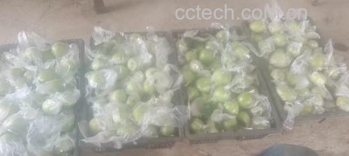 木瓜壳寡糖产品包装示意图