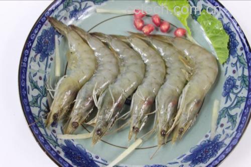 家庭餐桌上清蒸对虾的摆盘照片