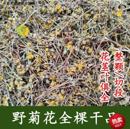 野菊花根药材特写
