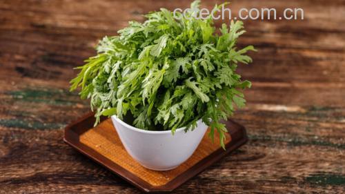 野菊花菜成品菜肴特写