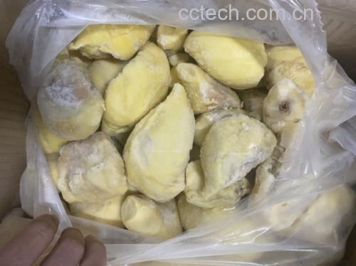 金枕头冻榴莲在白色瓷盘中缓慢解冻,旁边放有温度计和保鲜盒,背景为厨房冰箱门敞开