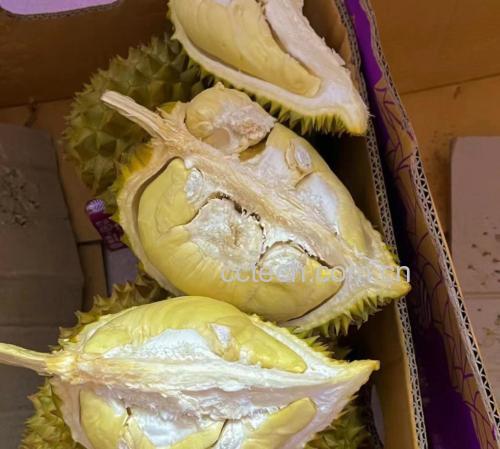 金枕榴莲果肉特写