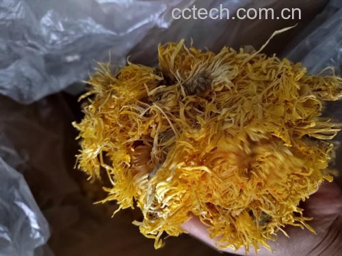金丝皇菊与绿茶的成分对比图表