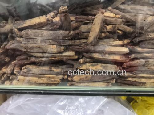 实验室检测人参皂苷含量场景