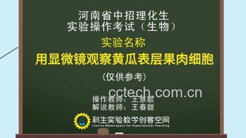 小黄瓜显微结构示意图