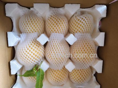 超市冷柜中陈列的多种品牌冻黄桃包装产品对比图