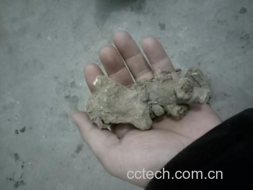 中医师为患者把脉并查看舌苔的诊疗场景