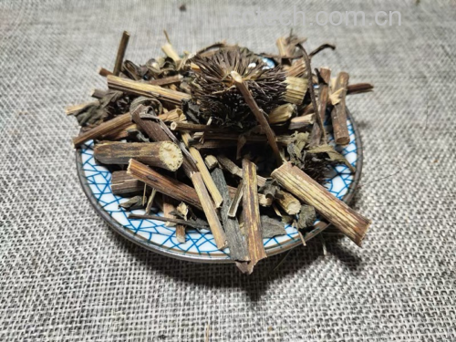 干燥的金丝皇菊花朵特写,金黄色花瓣层层展开,形态优美