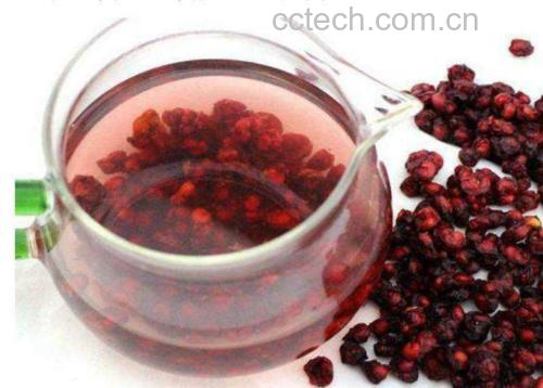 北五味子茶饮冲泡过程