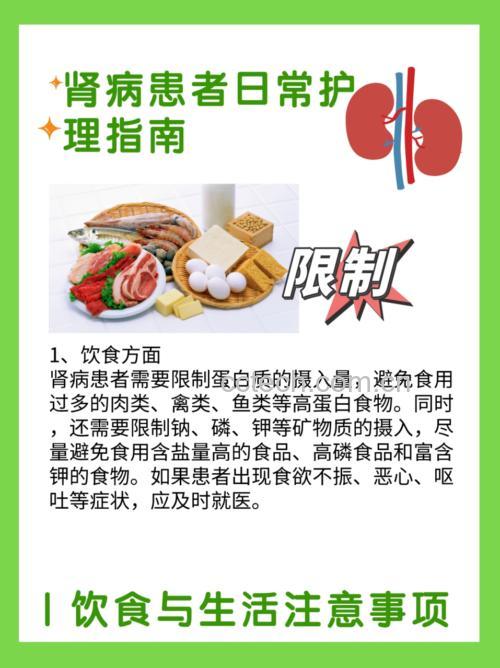 肾病饮食搭配示意图