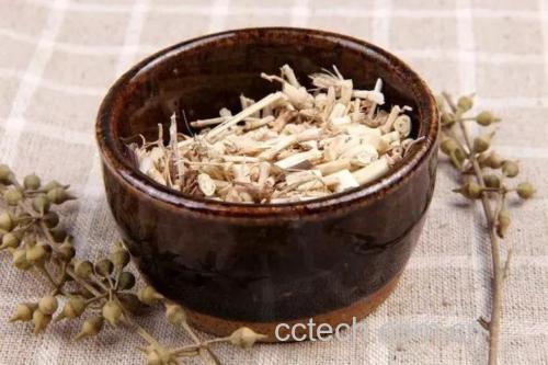 侧柏叶煎煮过程