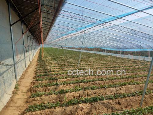 德国奶油草莓茶园与加工厂航拍图