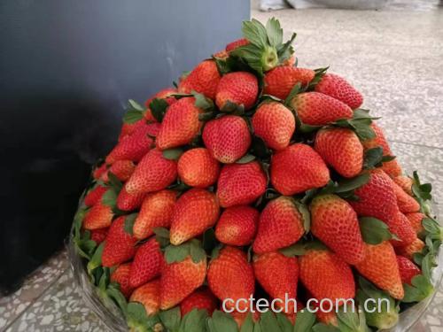 草莓奶油山成品图