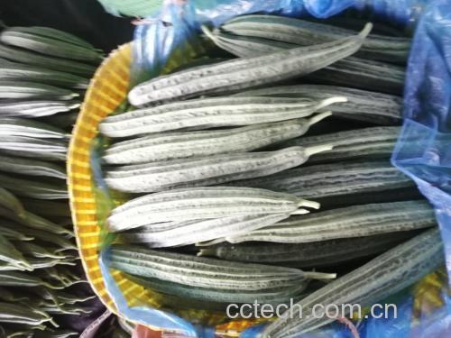 凉拌绿木瓜丝成品图