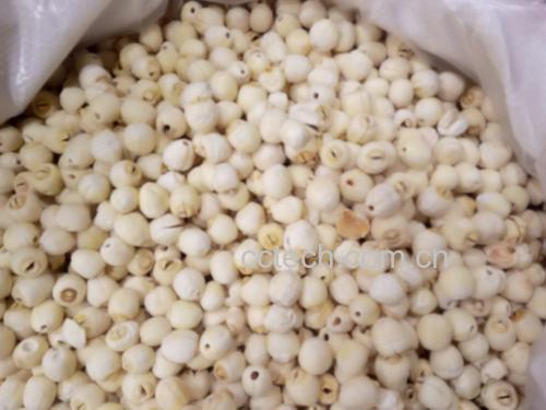 清热食疗汤品