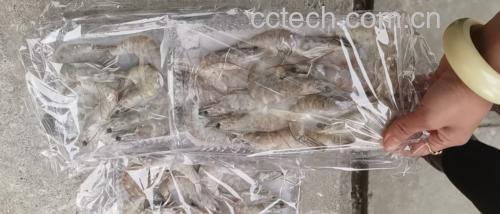 厨房秤上放置三只带壳对虾,旁边标注“单只20g”字样