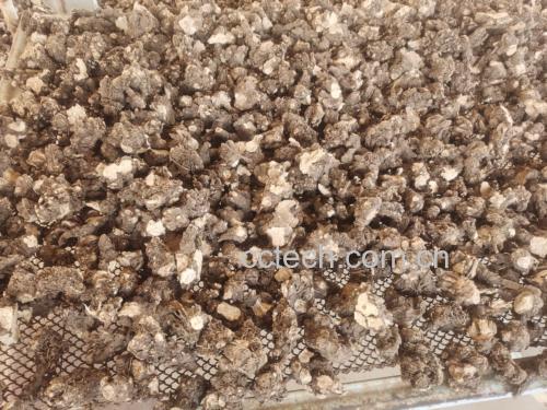 白术白芷白附子僵蚕绿豆面膜成分图