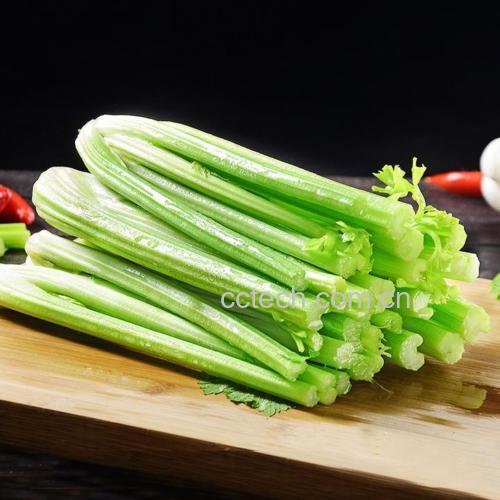 芹菜与鲜枣的食材处理过程