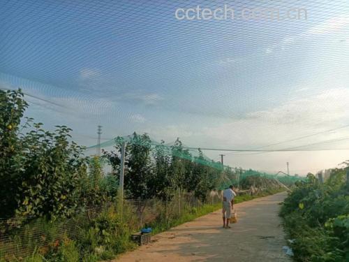果园中喷洒除草剂的农民佩戴防护手套