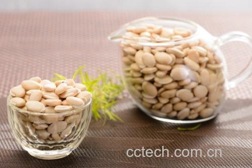 蚕豆与其他杂粮混合浸泡特写
