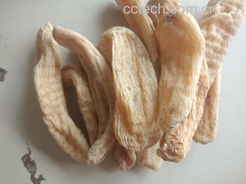 芝麻素结构与来源