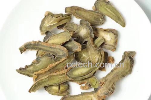 三七与肉苁蓉药材切片展示图