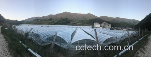 鲜枣采摘与营养检测图