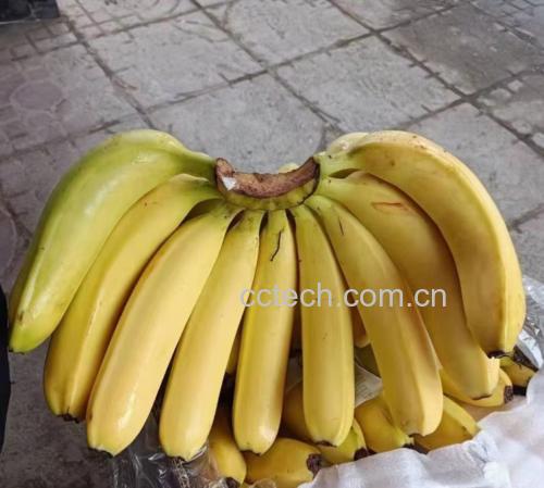 红糖与香蕉煮水的成品图