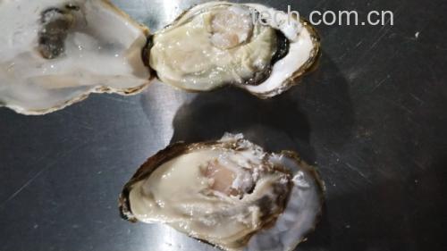生蚝料理示意图